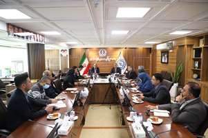 نشست هم‌اندیشی کمیته حمایت‌های روانی‌ اجتماعی در بلایا برگزار شد